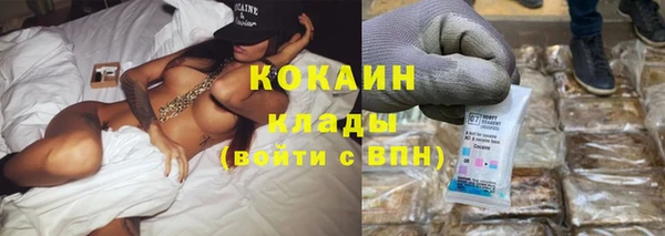 сатива Абинск
