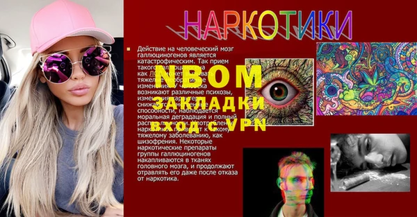 сатива Абинск