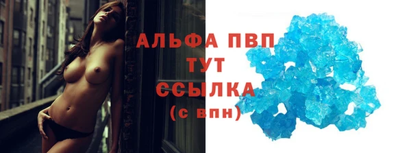 сатива Абинск