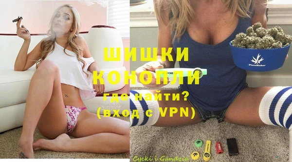 сатива Абинск