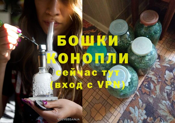 сатива Абинск