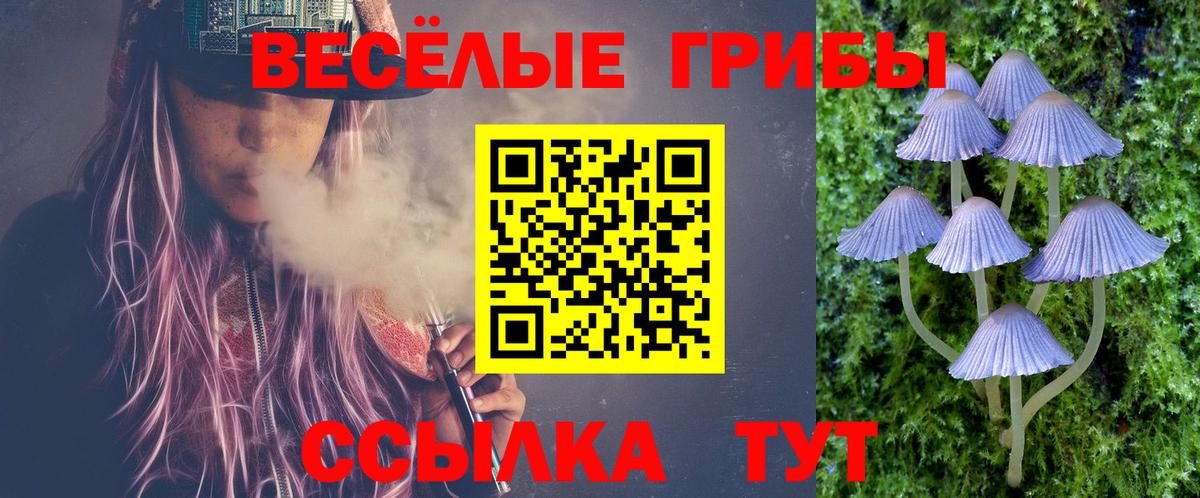 Галлюциногенные грибы мухоморы  Вход с VPN  Прокопьевск 