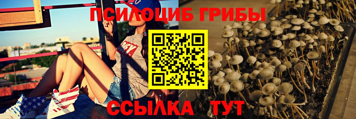 Псилоцибиновые грибы мухоморы Прокопьевск